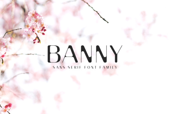 Banny Sans Serif Family for Clean Vintage Web Design