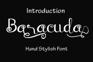Baraccuda: A Classy Script Handwritten Font for Crafters and Sellers