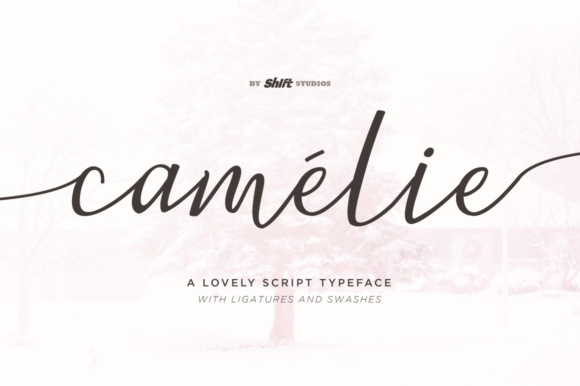 Camelie Font Review: A Bouncy Script for Feminine Branding