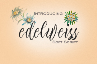 Edelweiss: The Elegant Script Font for Boutique Branding