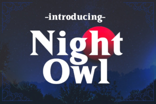 Night Owl: A Classic Serif Font for Handmade Branding